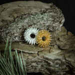 papuosalai-ziedai-masazinis-ziedas-1