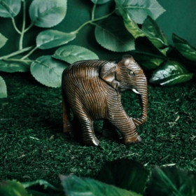 namu-dekoras-medines-dekoracijos-medinis-dramblys-23