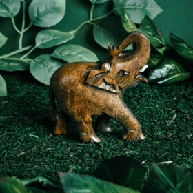 namu-dekoras-medines-dekoracijos-medinis-dramblys-21