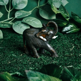 namu-dekoras-medines-dekoracijos-medinis-dramblys-16