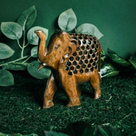 namu-dekoras-medines-dekoracijos-medinis-dramblys-9