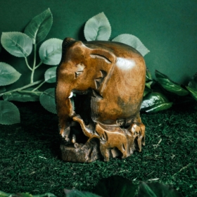 namu-dekoras-medines-dekoracijos-medinis-dramblys-7