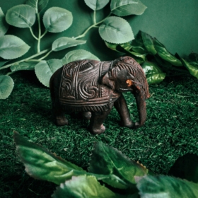 namu-dekoras-medines-dekoracijos-medinis-dramblys-5