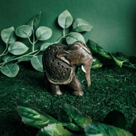 namu-dekoras-medines-dekoracijos-medinis-dramblys-13