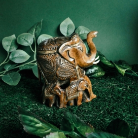 namu-dekoras-medines-dekoracijos-medinis-dramblys-2