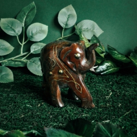 namu-dekoras-medines-dekoracijos-medinis-dramblys-10