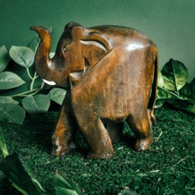 namu-dekoras-medines-dekoracijos-medinis-dramblys-4