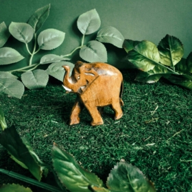 namu-dekoras-medines-dekoracijos-medinis-dramblys-26