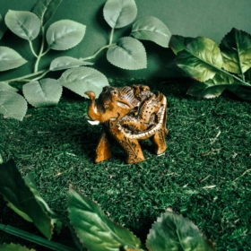 namu-dekoras-medines-dekoracijos-medinis-dramblys-24