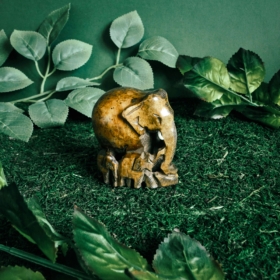 namu-dekoras-medines-dekoracijos-medinis-dramblys-51