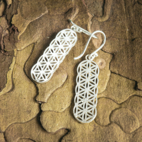 indiski-papuosalai-papuosalai-is-zalvario-zalvariniai-auskarai-zalvariniai-auskarai-114