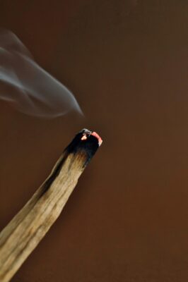 Kvapai-palo-santo-lazdeles-palo-santo-kvepiancios-lazdeles-1