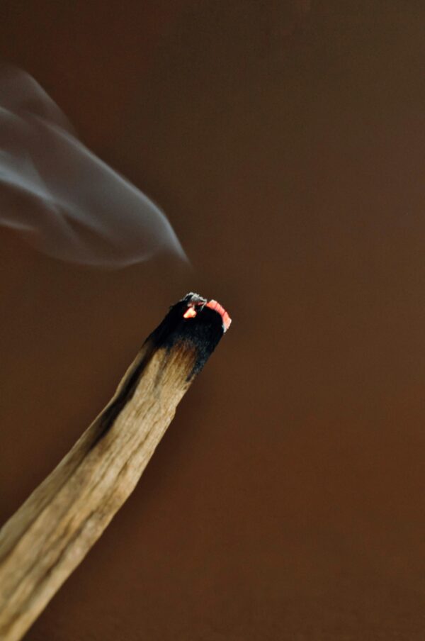 Kvapai-palo-santo-lazdeles-palo-santo-kvepiancios-lazdeles-1