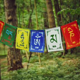 namu-dekoras-maldos-veliaveles-oh-mani-padme-hum-maldos-veleviaveles-13