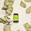 indiski-kvapai-aromatiniai-aliejai-eucalyptus-aromatinis-aliejus
