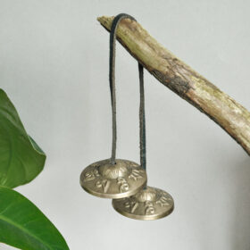 namu-dekoras-zalvariniai-varpeliai-zalvarinis-varpelis-tingsa-3