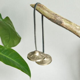 namu-dekoras-zalvariniai-varpeliai-zalvarinis-varpelis-tingsa-4