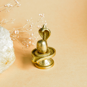 namu-dekoras-zalvarine-statula-zalvarine-statula-siva-ligamas