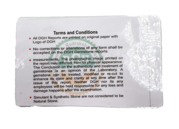 sertifikatas-moldevito