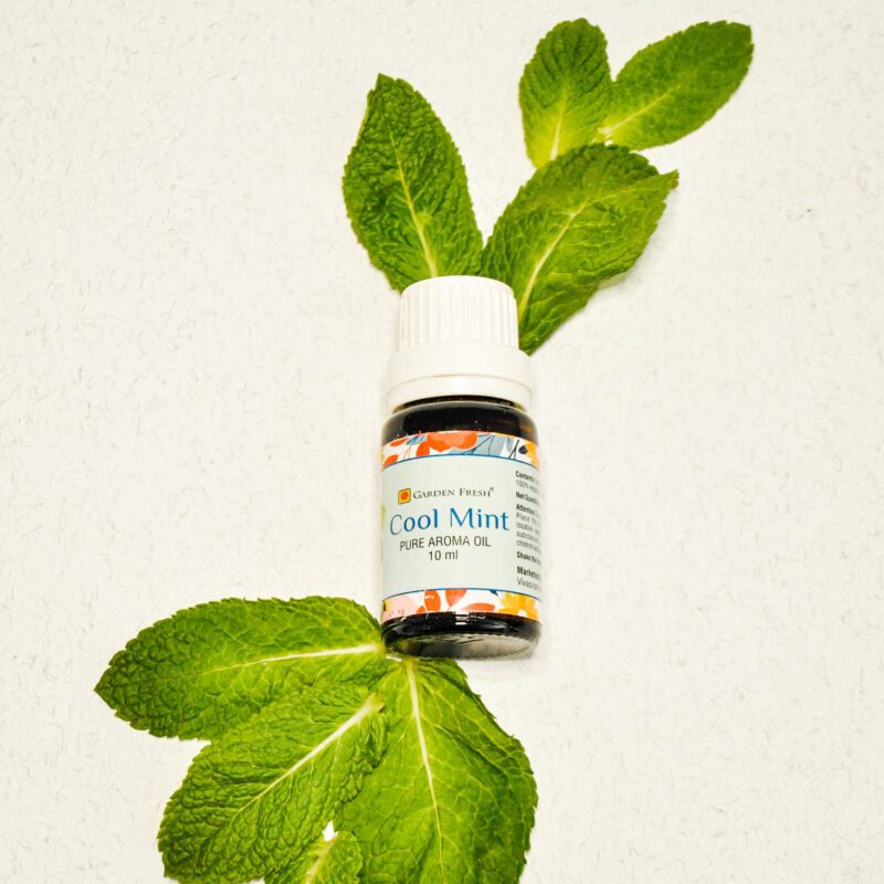 indiski-kvapai-aromatiniai-aliejai-cool-mint-aromatinis-aliejus