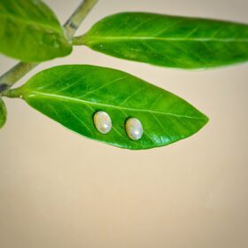 kristalai-papuosalai-is-kristalu-auskarai-su-labradoritu