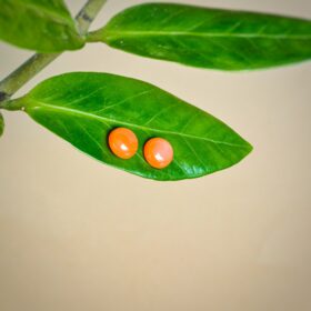 kristalai-papuosalai-is-kristalu-auskarai-su-karneoliu