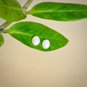 kristalai-papuosalai-is-kristalu-auskarai-su-menulio-akmenuku