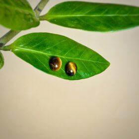 kristalai-papuosalai-is-kristalu-auskarai-su-tigro-akimi