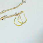 indiski-papuosalai-zalvariniai-auskarai-zalvariniai-auskarai-rinkes-3-auksine