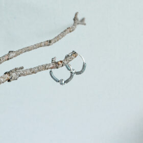 indiski-papuosalai-papuosalai-is-zalvario-zalvariniai-auskarai-rinkes-6