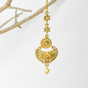 indiski-papuosalai-tradiciniai-indu-papuosalai-tika-10