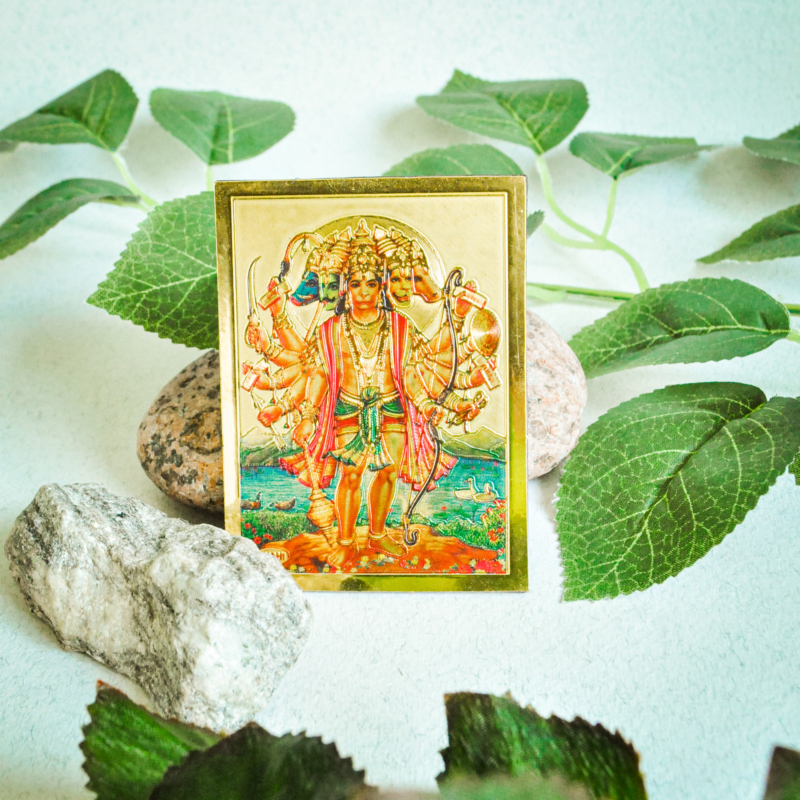 aksesuarai-is-indijos-magnetukai-magnetukas-3