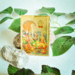 aksesuarai-is-indijos-magnetukai-magnetukas-14