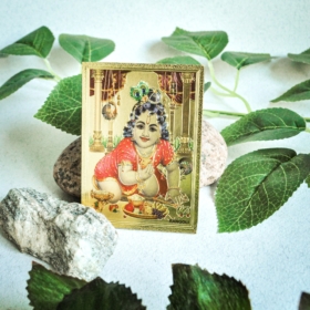 aksesuarai-is-indijos-magnetukai-magnetukas-2