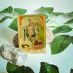 aksesuarai-is-indijos-magnetukai-magnetukas-10