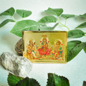 aksesuarai-is-indijos-magnetukai-magnetukas-11