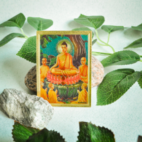 aksesuarai-is-indijos-magnetukai-magnetukas-7