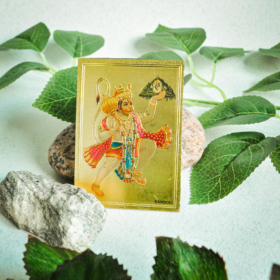 aksesuarai-is-indijos-magnetukai-magnetukas