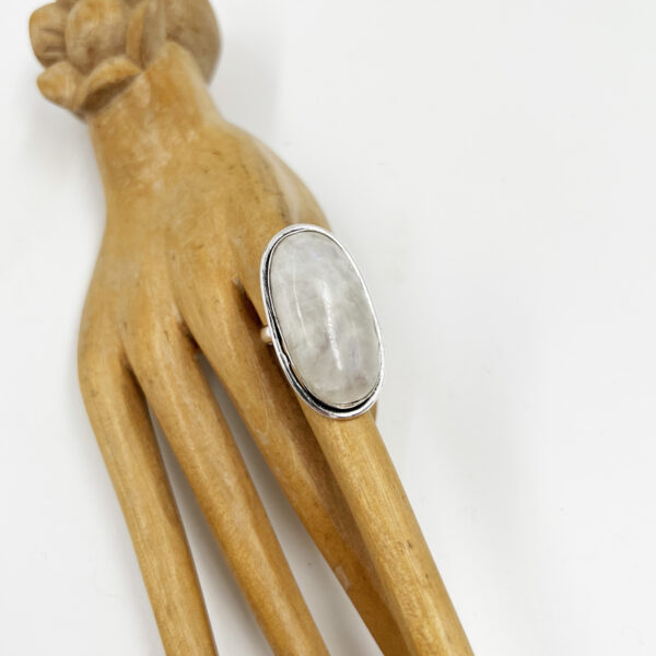 indiski-papuosalai-papuosalai-is-zalvario-zalvarinis-ziedas-su-menulio-akmenimi-2