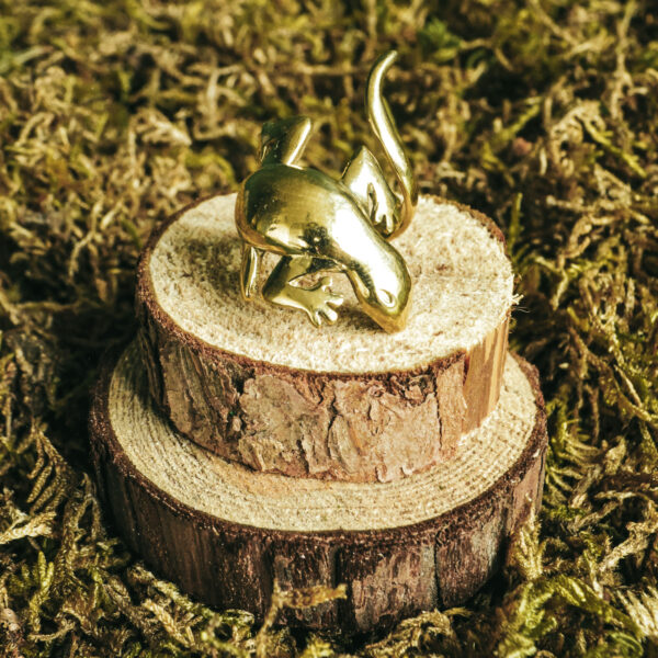 indiski-papuosalai-papuosalai-is-zalvario-zalvariniai-ziedai-zalvarinis-ziedas-su-driezu-2-auksine