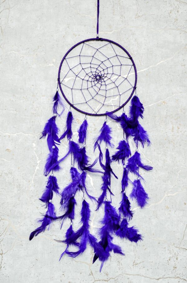 namu-dekora-sapnu-gaudykles-Sapnu-gaudykle-20cm-violetine
