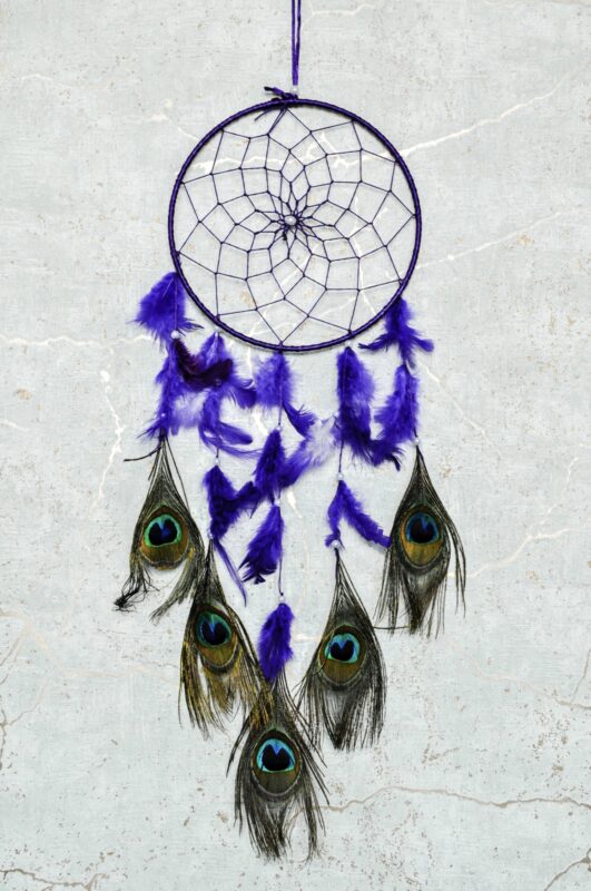namu-dekora-sapnu-gaudykles-Sapnu-gaudykle-su-povo-plunksnmis-20cm-violetine