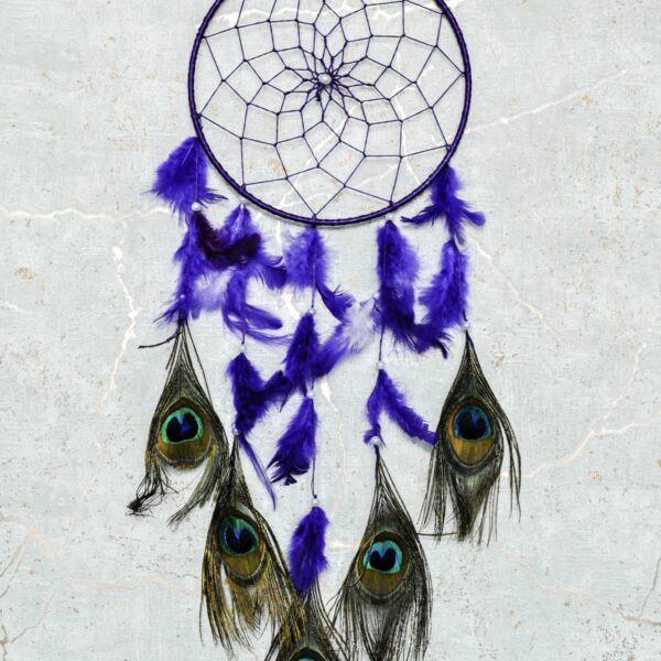 namu-dekora-sapnu-gaudykles-Sapnu-gaudykle-su-povo-plunksnmis-20cm-violetine