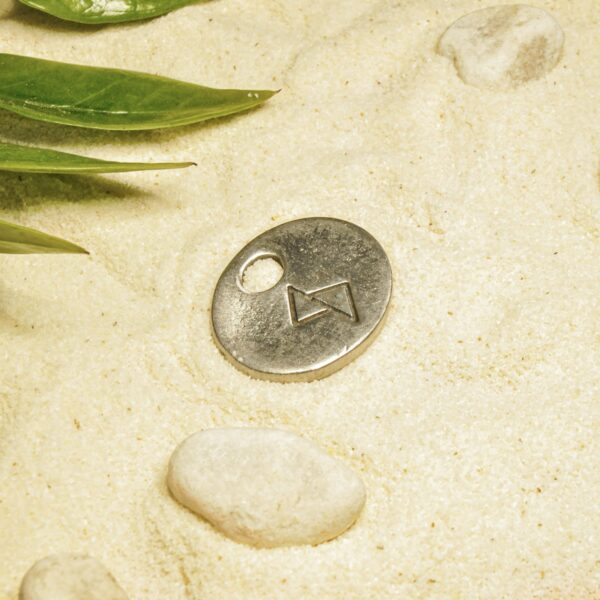 indiski-papuosalai-papuosalai-is-zalvario-zalvarinis-pakabukas-runa-dagaz