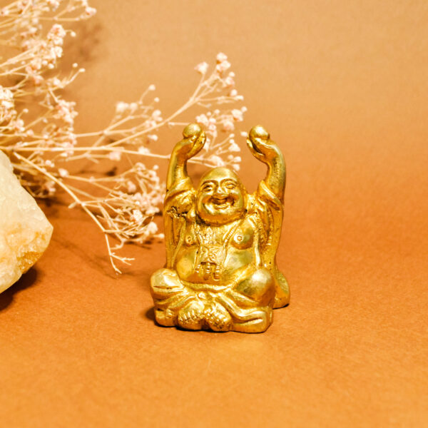 namu-dekoras-zalvarine-statula-zalvarine-statula-buda