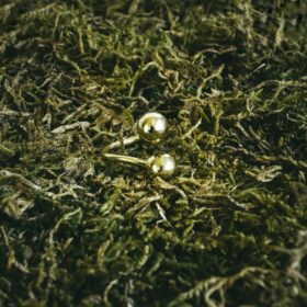 indiski-papuosalai-zalvariniai-papuosalai-zalvariniai-ziedai-zalvarinis-ziedas-50