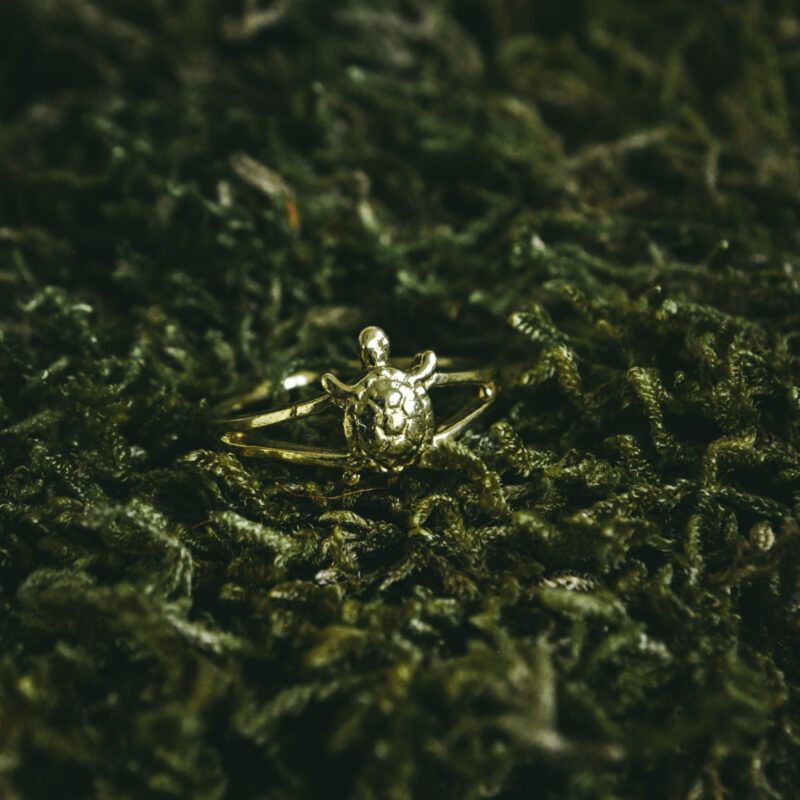 indiski-papuosalai-zalvariniai-papuosalai-zalvariniai-ziedai-zalvarinis-ziedas-vezlys