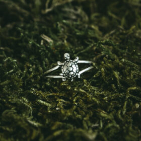 indiski-papuosalai-zalvariniai-papuosalai-zalvariniai-ziedai-zalvarinis-ziedas-vezlys-2