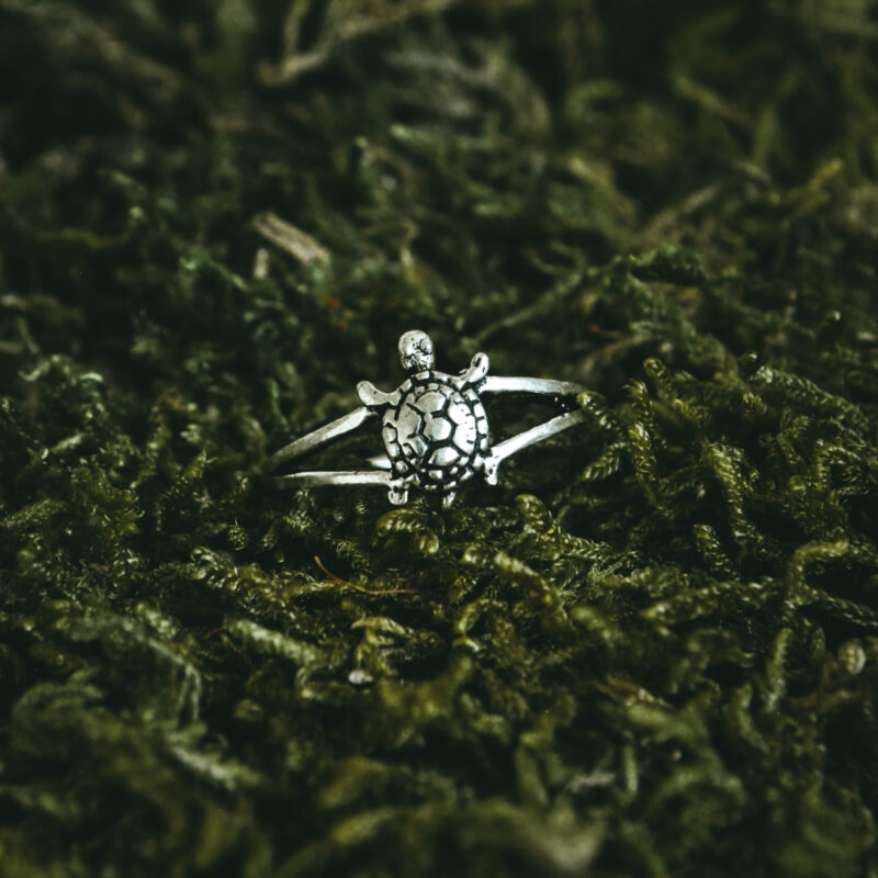 indiski-papuosalai-zalvariniai-papuosalai-zalvariniai-ziedai-zalvarinis-ziedas-vezlys-2