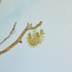 indiski-papuosalai-zalvariniai-papuosalai-zalvariniai-auskarai-zalvariniai-auskarai-15